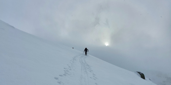 sedrun 11