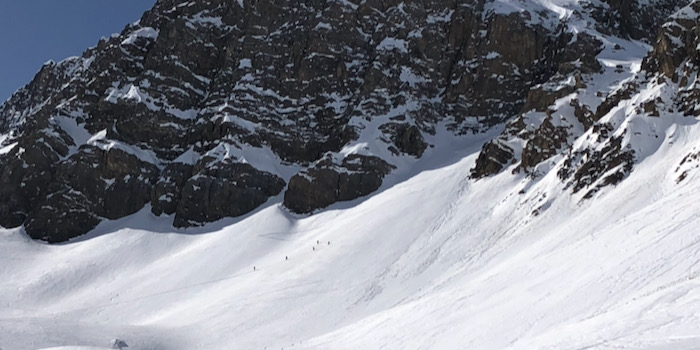 Alpiner ...