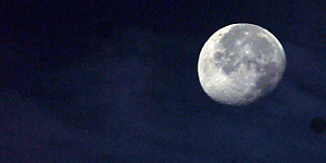 vollmond Kopie
