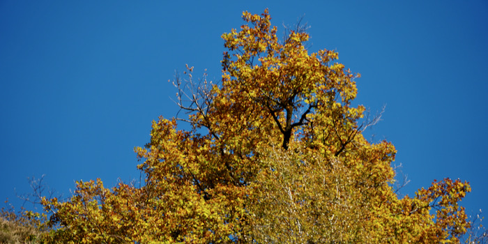 So soll Herbst sein!