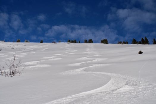 Tagesziel erreicht :-) – eine neue Spur liegt im Hang