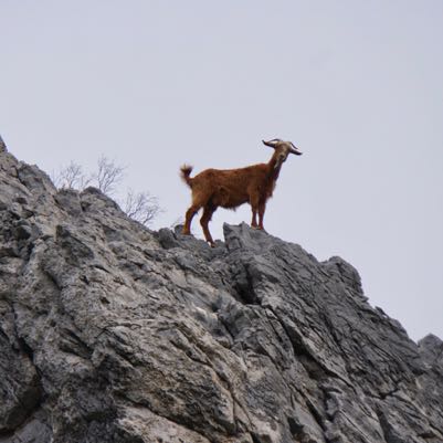 Unter aufmerksamer Beobachtung