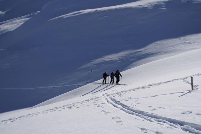 rueras 12