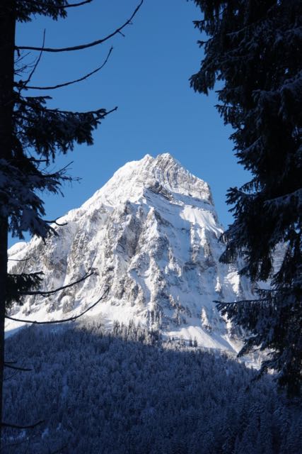 tierberg 2