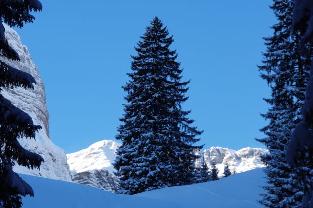 tierberg 6