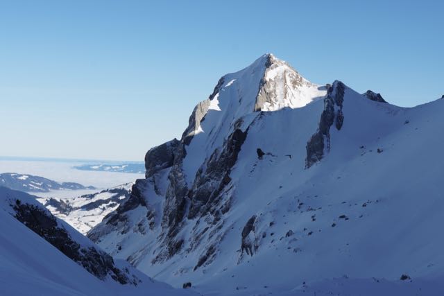 saentis 1