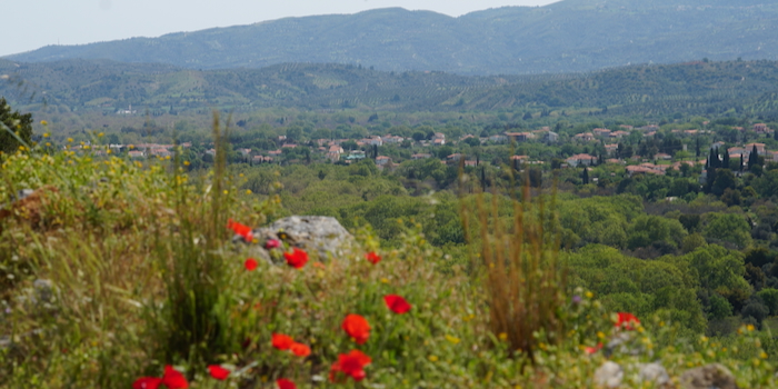 maikia reko 1
