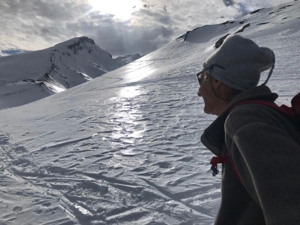 Schmelzharsch im Gegenlicht