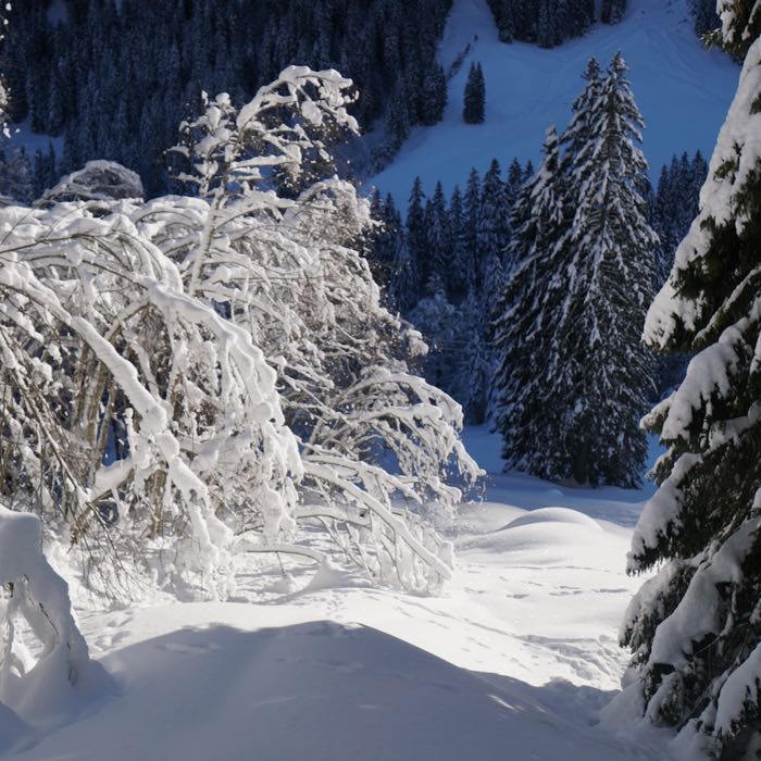 Und ganz zu unterst war's einfach märchenhaft ...