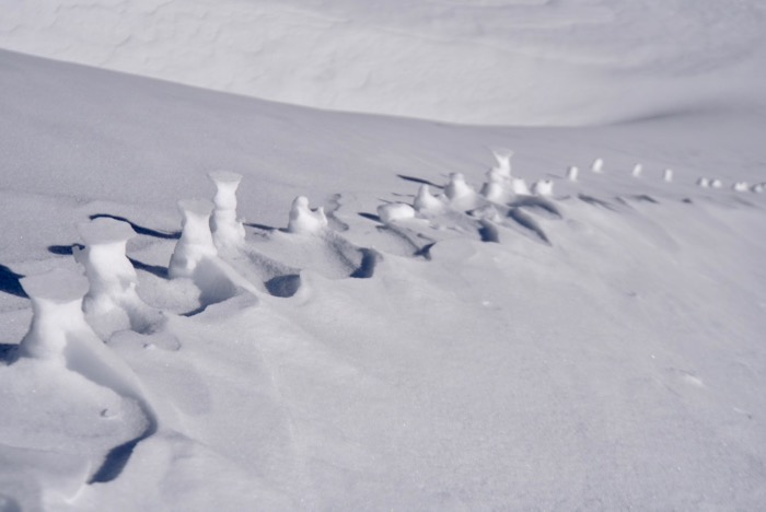 Alte Tierspuren, vom Wind ...