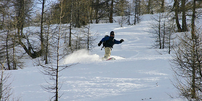Durch lichte Lärchenwälder.