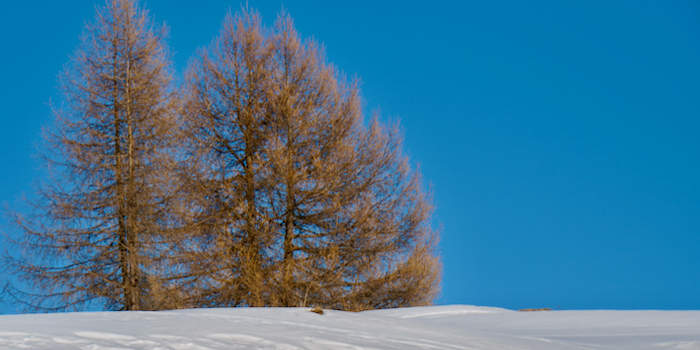 Typisch Engadin.